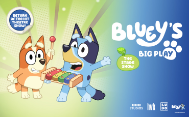 More Info for Bluey's Big Play