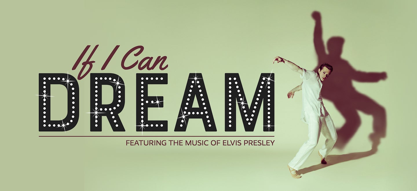 If I Can Dream