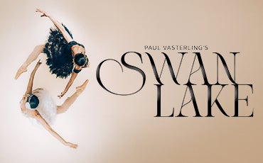 More Info for Swan Lake