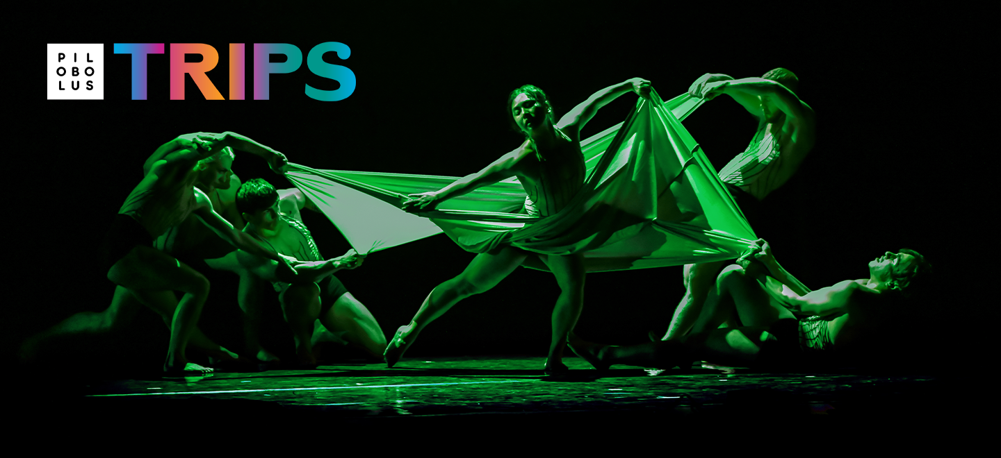Pilobolus: Trips