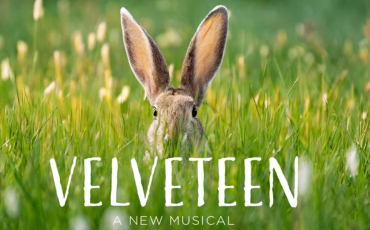 More Info for Velveteen, A New Musical